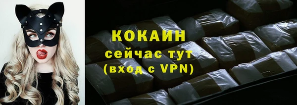 apvp Тында