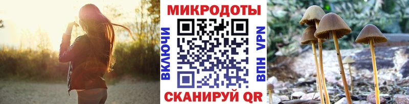 Псилоцибиновые грибы Magic Shrooms Хотьково